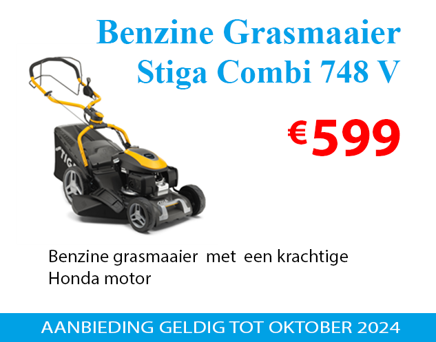 Stiga Combi 753 EV